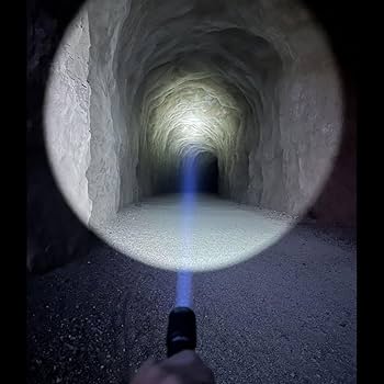 Amazon.com: LED Light Head (FDE Finish) - Replacement Weapon